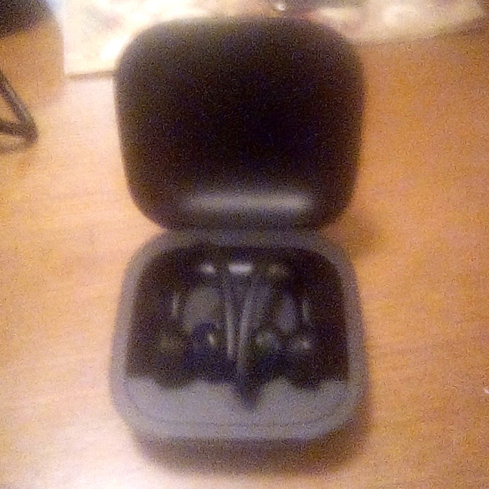 Beats earbuds